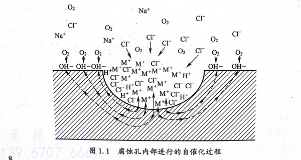 圖1.jpg